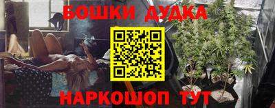 дживик Новозыбков